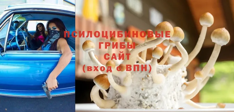 Галлюциногенные грибы Magic Shrooms  продажа наркотиков  Баймак 